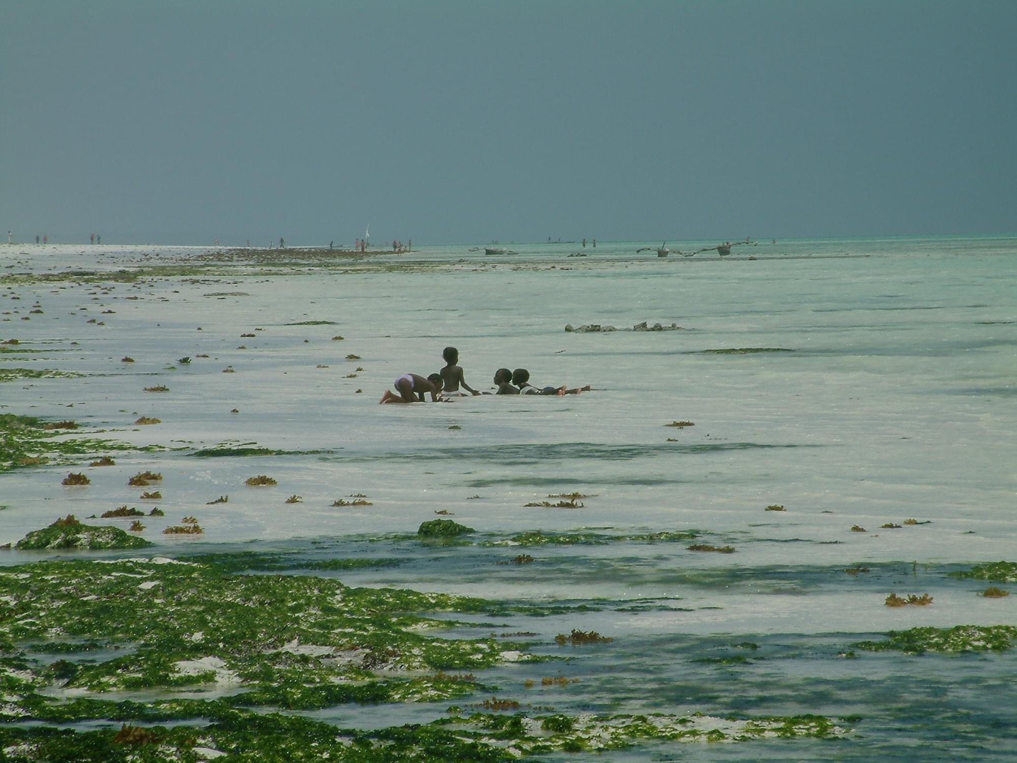 20040127   Zanzibar 139